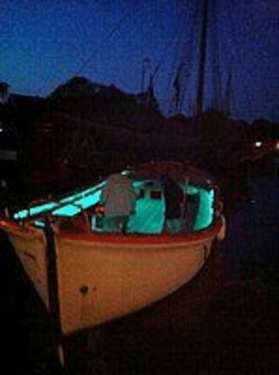 Waar koop je aquarium led verlichting?